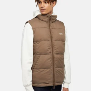 dickies uomo smanicato DK0A4Y2KMR1 waldenburg vest mushroom