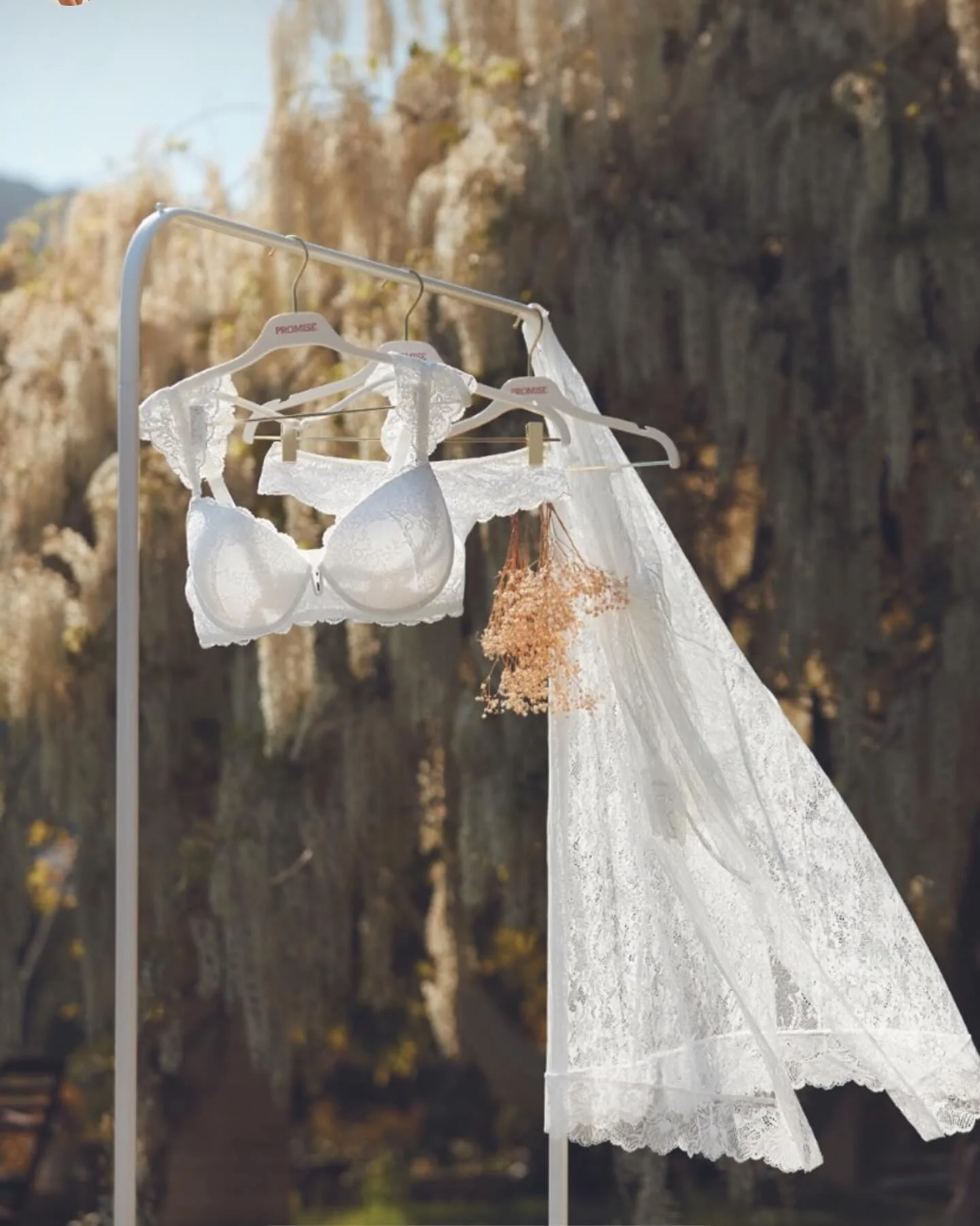 Reggiseno a fascia in PIZZO con SPALLINE INTERCAMBIABILI PROMISE - immagine 9