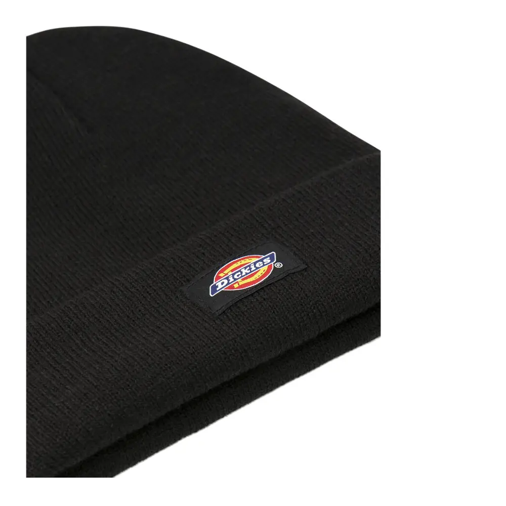 Dickies cappello Gibsland DK0A4X7KBLK1 Black - immagine 3