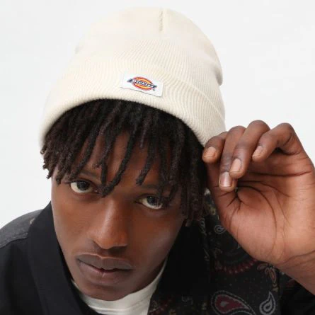 Dickies cappello Gibsland DK0A4X7KECR1 Ecru - immagine 6