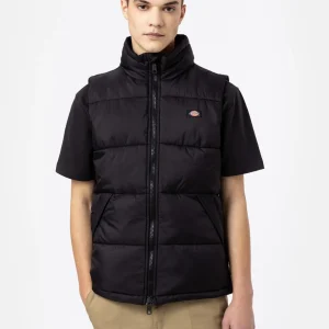 dickies uomo smanicato waldenburg vest black