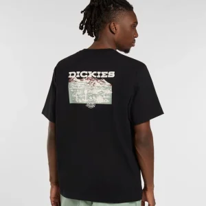 Dickies uomo t-shirt Landascape DK0A4Z8VBLK1