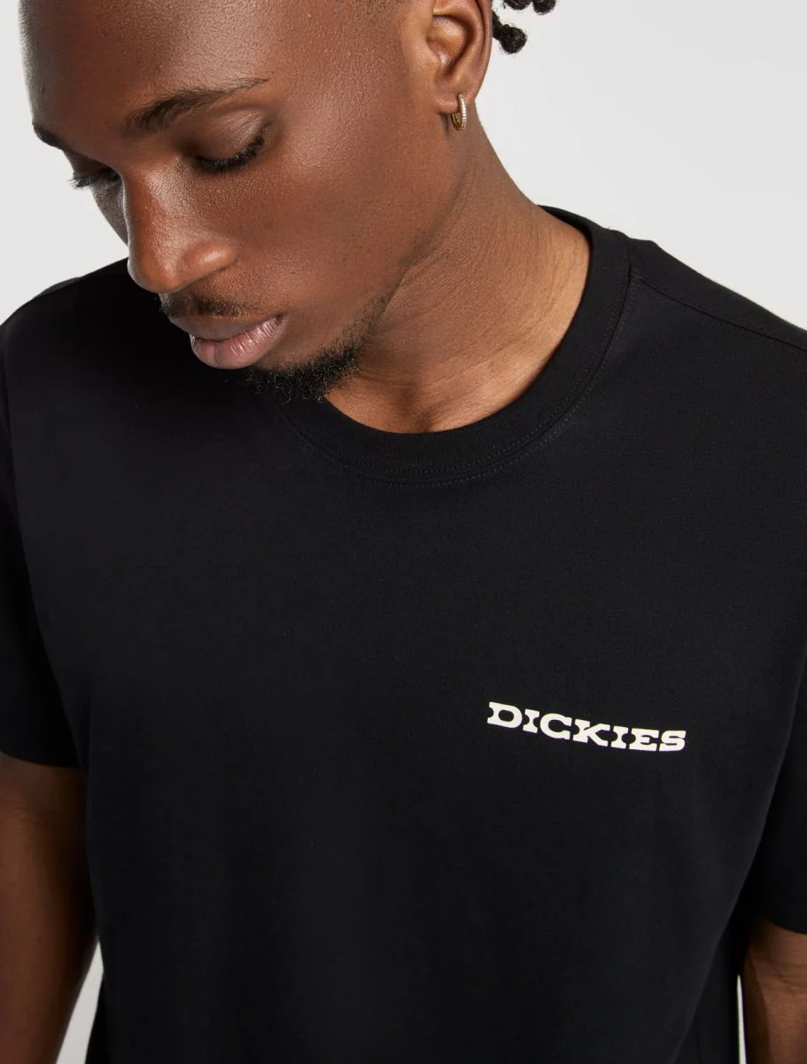 Dickies uomo t-shirt Landascape DK0A4Z8VBLK1 - immagine 4