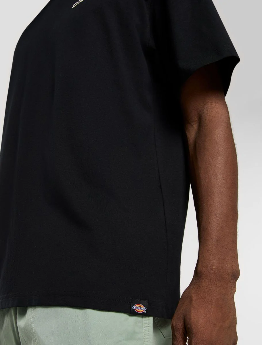 Dickies uomo t-shirt Landascape DK0A4Z8VBLK1 - immagine 5