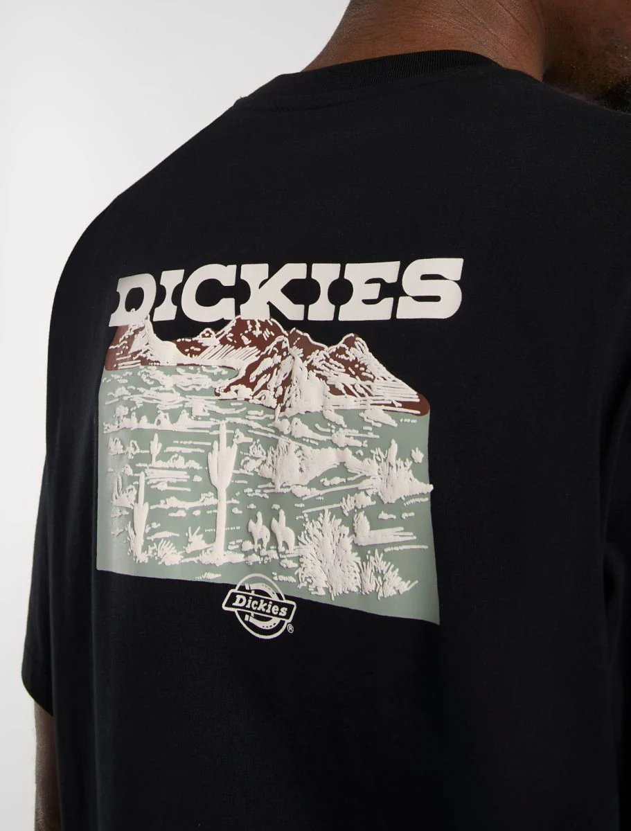 Dickies uomo t-shirt Landascape DK0A4Z8VBLK1 - immagine 6